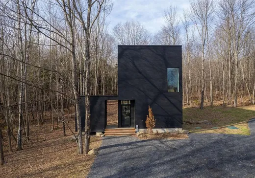 Maison à vendre - 173 Ch. Lafond, Mansonville, J0E 1X0