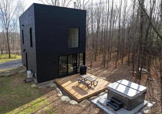 Maison à vendre - 173 Ch. Lafond, Mansonville, J0E 1X0