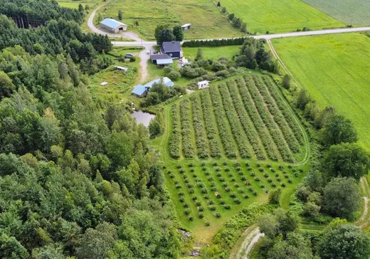 Two or more stories for sale - 8901Z Rg St-Philippe, Chesterville, G0P1J0