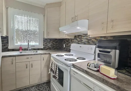 Maison à vendre - 728 Ch. Roger-Fortier, Inverness, G0S 1K0