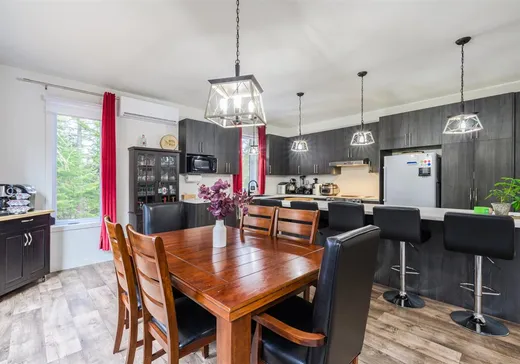 Maison à vendre - 290 Ch. des Bleuets, St-Alexis-Des-Monts, J0K 1V0