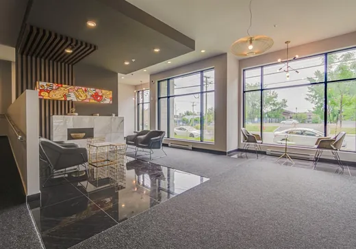 Condo for sale - 1601 Rue Viola-Desmond, Montreal (LaSalle), H8N0G2
