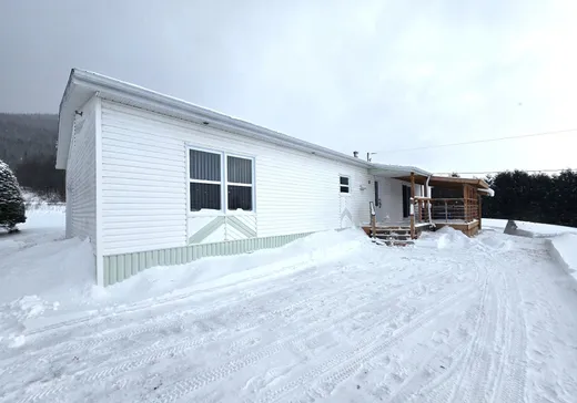 Maison à étages à vendre - 10 Rue des Frênes, Lac-Au-Saumon, G0J1M0