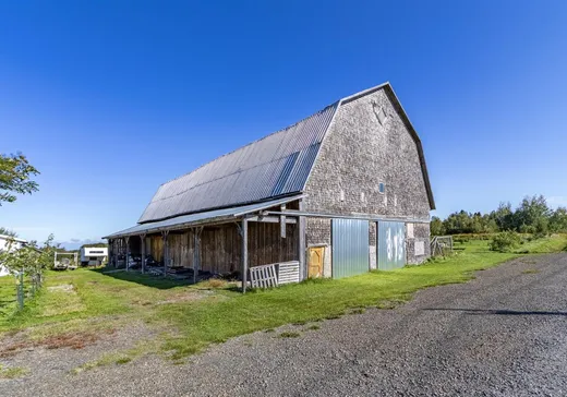 Maison à vendre - 733 Petit-10e Rang, Plessisville, G6L 2Y2
