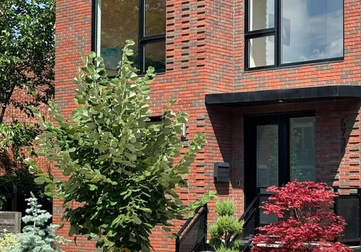 Maison à étages à vendre - 6739 2e Avenue, Montréal (Rosemont–La Petite-Patrie), H1Y2Z8