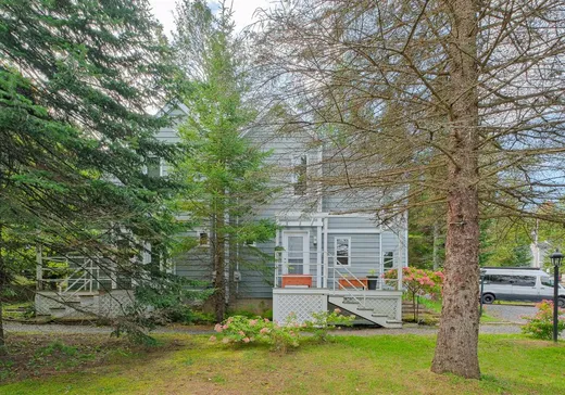 Maison à vendre - 36Z Ch. des Alleghanys, Sutton, J0E 2K0