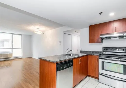 Condo for sale - 98 Rue Charlotte, Montreal (Downtown), H2X 3V2
