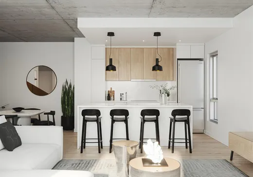 Condo à vendre - 367 Av. des Pins E., Montréal (Plateau-Mont-Royal), H2W 2M1