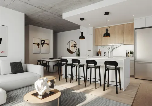 Condo à vendre - 367 Av. des Pins E., Montréal (Plateau-Mont-Royal), H2W 2M1