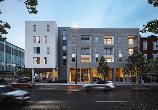 Condo à vendre - 367 Av. des Pins E., Montréal (Plateau-Mont-Royal), H2W2M1