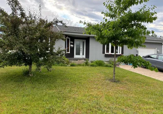 Chalet à vendre - 1610 Rue des Avocatiers, La Tuque, G9X 4H3