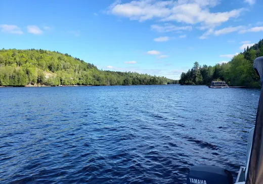 Maison à vendre - 324 Ch. de la Renaissance, Mont-Tremblant, J0T 1H0