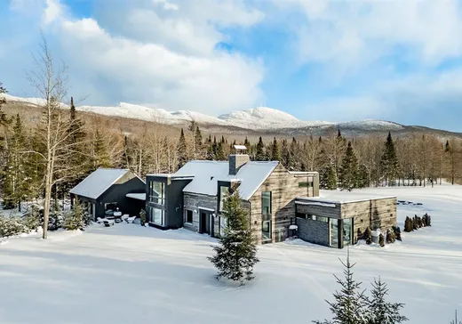 Maison à vendre - 348 Ch. George-Bonnallie, Eastman, J0E 1P0