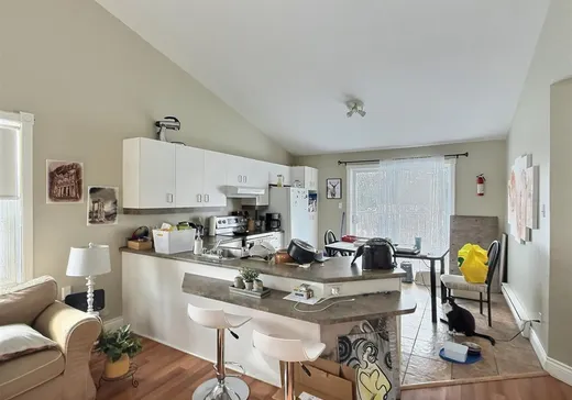 Maison à vendre - 3405 Rue Galt O., Sherbrooke, J1K 3B9