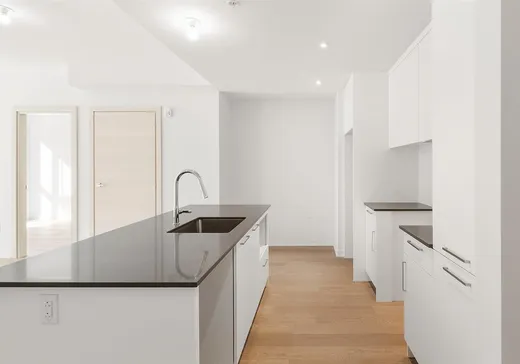 Condo for sale - 1485 Rue des Bassins, Montreal (Downtown), H3C1B7