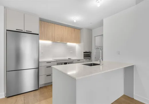 Condo à vendre - 1150 Boul. René-Lévesque E., Montréal (Centreville), H2L0J6