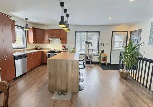 Maison à vendre - 460 Rue Alarie, Mont-Tremblant, J0T 1H0