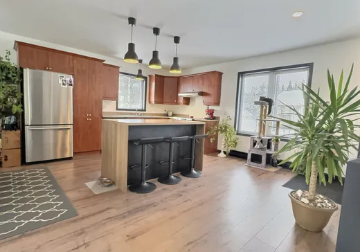 Maison à vendre - 460 Rue Alarie, Mont-Tremblant, J0T 1H0