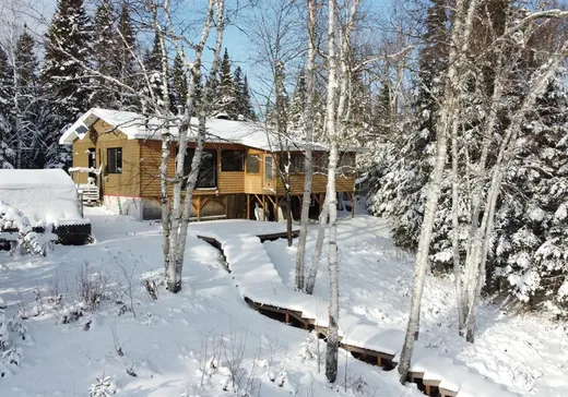 Chalet à vendre - 126 Rue Lac Germain, La Tuque, G0X0A5