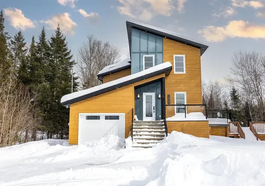 Maison à vendre - 1422 Ch. Hamel, Sherbrooke, J1R 0P8
