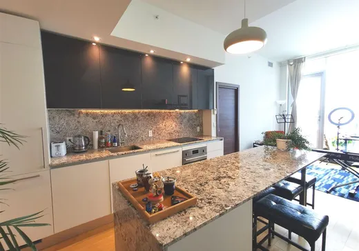 Condo à vendre - 1450 Boul. René-Lévesque O., Montréal (Centreville), H3G 0E1