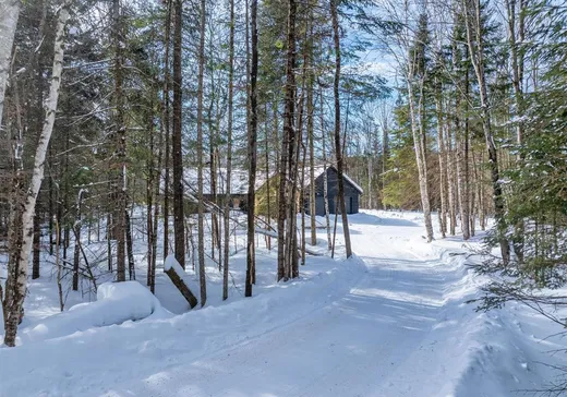 House for sale - 26 Ch. de la Montagne, Notre-Dame-de-la-Merci, J0T 1A0
