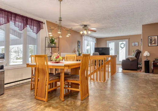Maison à vendre - 375 Rue Champagnat, Thetford Mines, G0N 1E0