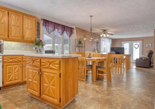 Maison à vendre - 375 Rue Champagnat, Thetford Mines, G0N 1E0