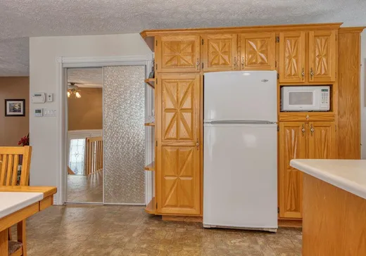 Maison à vendre - 375 Rue Champagnat, Thetford Mines, G0N 1E0