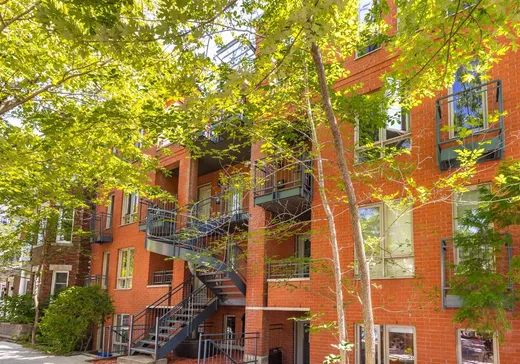 Condo à vendre - 1690 Rue Gilford, Montréal (Plateau-Mont-Royal), H2J1S5