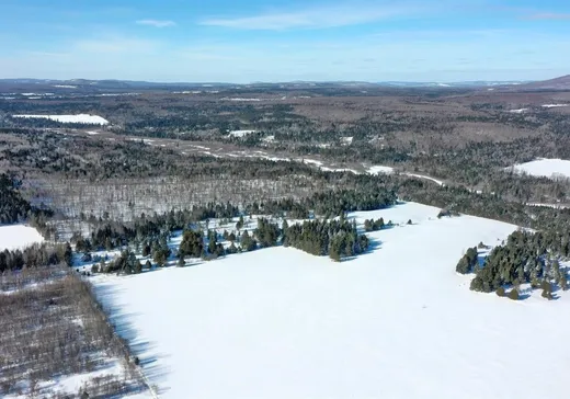 Maison à vendre - 338Z Rue Miquelon, Sainte-camille, J0A 1G0