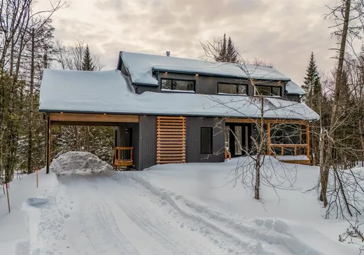 Maison à étages à vendre - 42 Rue des Wapitis, Eastman, J0E1P0