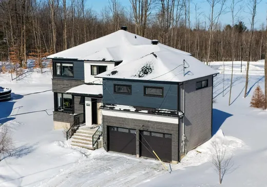 Maison à vendre - 3479 Rue Ralph-Steinman, Sherbrooke, J1L 0C3