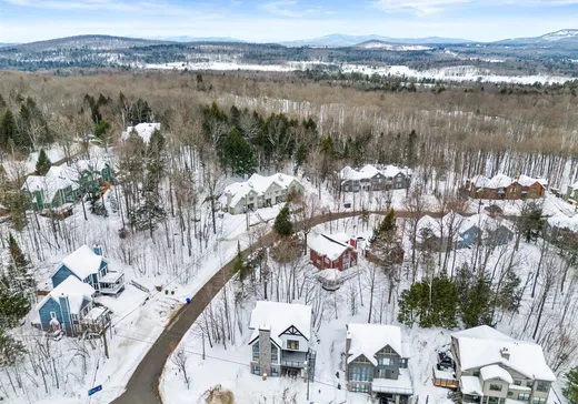 Maison à vendre - 31 Ch. du Panorama, Mansonville, J0E 1X0