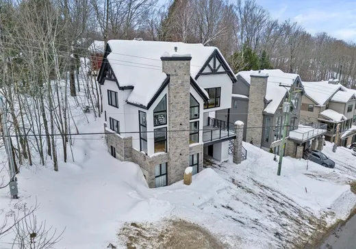 Maison à vendre - 31 Ch. du Panorama, Mansonville, J0E 1X0