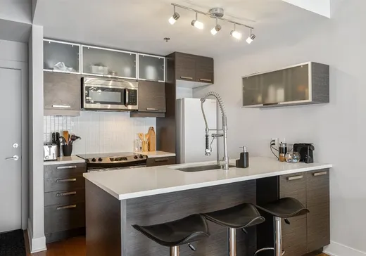Condo for sale - 225 Rue de la Montagne, Montreal (Ville-Marie), H3C 2A6