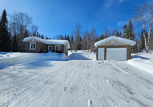 Chalet à vendre - 51 1er Rang, St-Malachie, G0R 4L0