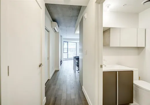 Condo à vendre - 1552 Rue des Bassins, Montréal (Centreville), H3C 0W5