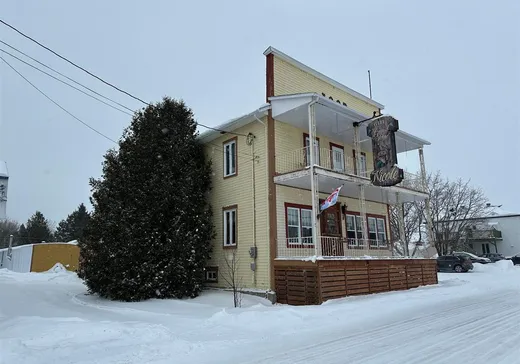 Maison à vendre - 39 Rue St-Pierre O., Matane, G0J 3L0