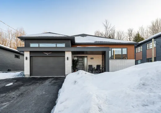 Maison à vendre - 96 Rue Janine-Sutto, Cowansville, J2K 0M3