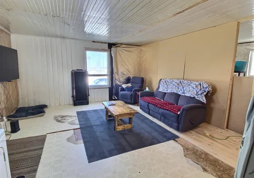 Maison à vendre - 97 Ch. des Pionniers, Saint-Arsène, G0L 2K0