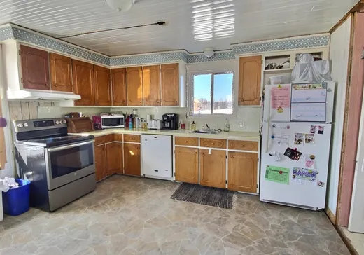 Maison à vendre - 97 Ch. des Pionniers, Saint-Arsène, G0L 2K0
