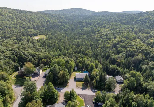 Maison à étages à vendre - 61 Rue Dominyck, Sainte-Agathe-des-Monts, J8C2Z7