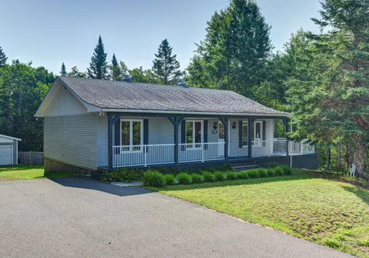 Maison à vendre - 61 Rue Dominyck, Sainte-Agathe-des-Monts, J8C 2Z7