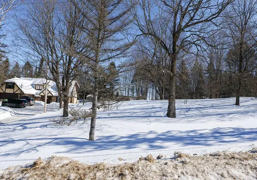 Maison à vendre - 273 Av. des Pensées, Mont-Laurier, J9L 3G3