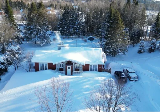 Chalet à vendre - 103 Rue des Trembles, Lac-Etchemin, G0R1S0