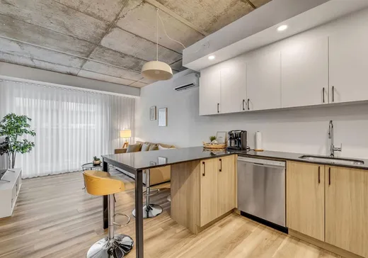 Condo for sale - 735 Boul. Charest E., Quebec City, G1K 3S6