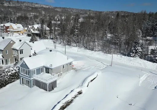 Maison à vendre - 133 Rue Dallaire, Lac-Etchemin, G0R 1S0