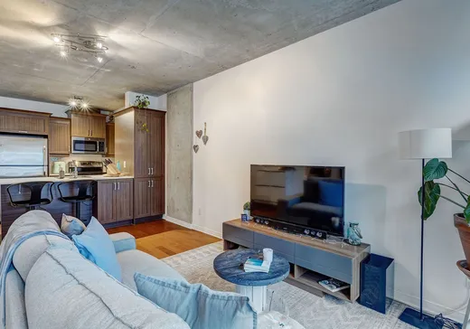 Condo à vendre - 1235 Rue Bishop, Montréal (Ville-Marie), H3G 0A6
