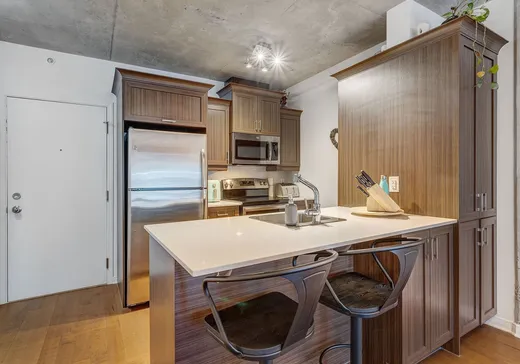 Condo à vendre - 1235 Rue Bishop, Montréal (Ville-Marie), H3G 0A6